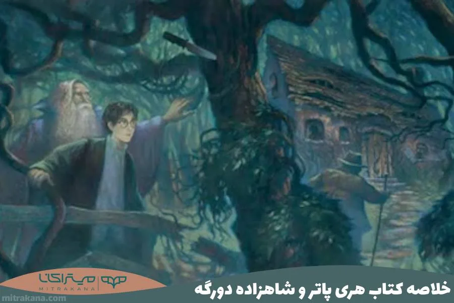 خلاصه کتاب هری پاتر و شاهزاده دورگه