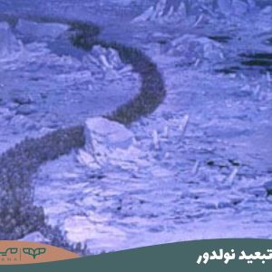 تبعید نولدور