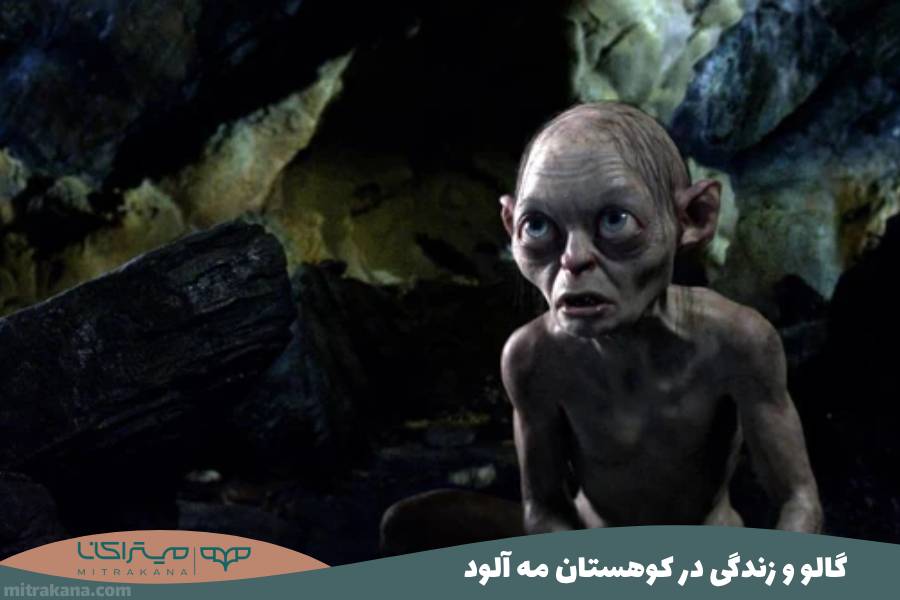 گالو و زندگی در کوهستان مه آلود