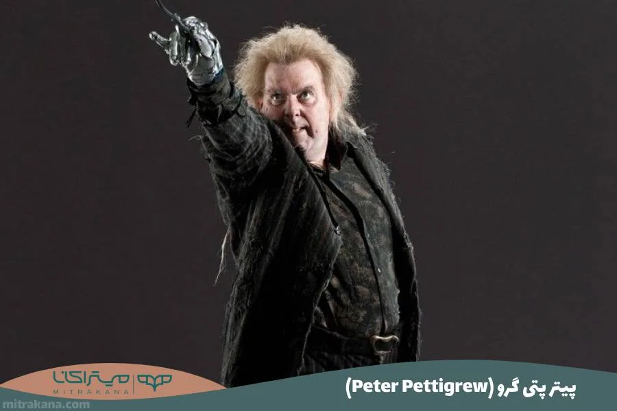 (Peter Pettigrew) پیتر پتی گرو