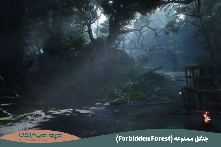 (Forbidden Forest) جنگل ممنوعه