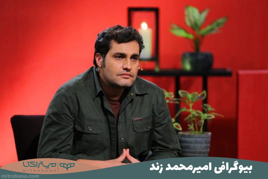 بیوگرافی امیرمحمد زند