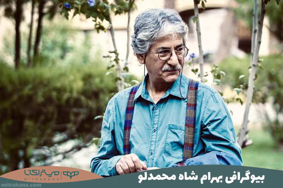 بیوگرافی بهرام شاه محمدلو