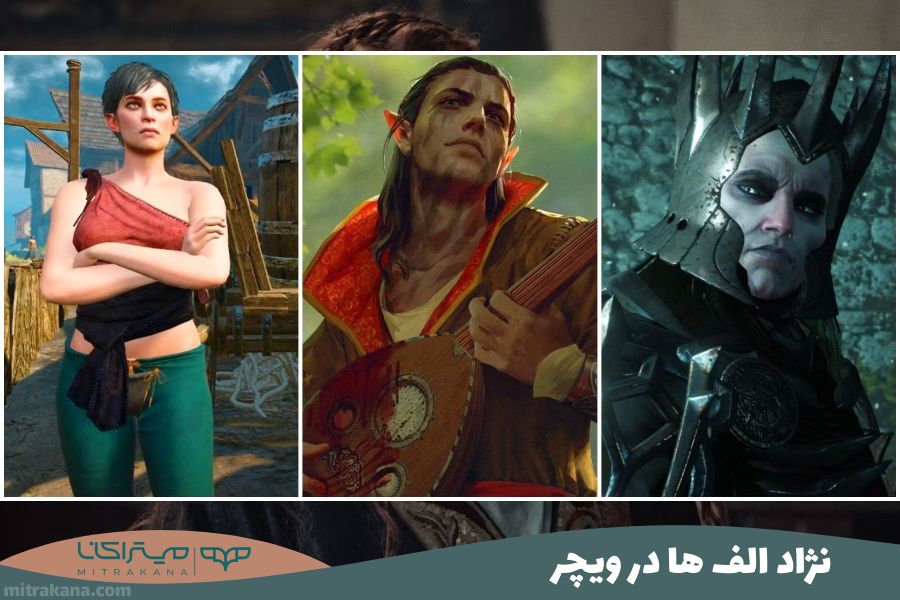 نژاد الف ها در ویچر