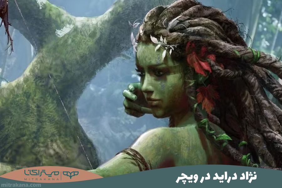 نژاد دراید در ویچر