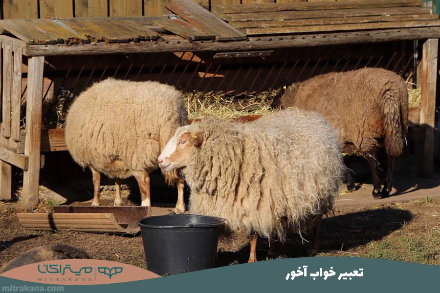 تعبیر خواب آخور