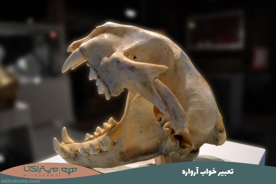تعبیر خواب آرواره