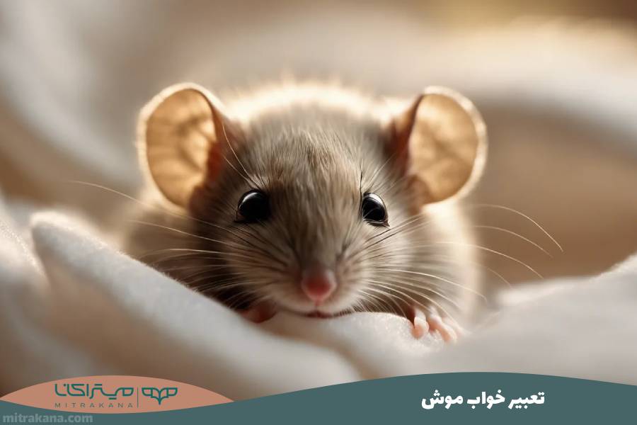 تعبیر خواب موش