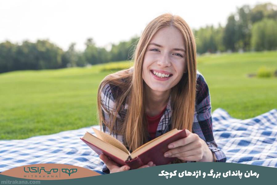 رمان پاندای بزرگ و اژدهای کوچک